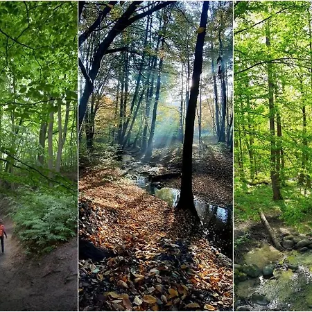 Apartment Baltic White Diuna Supernovi *